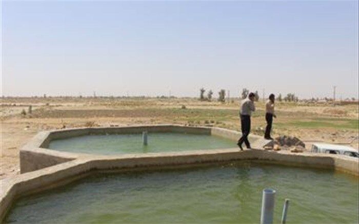 تمام پرورش دهندگان ماهی استخرهای پرورشی خود را بیمه کنند