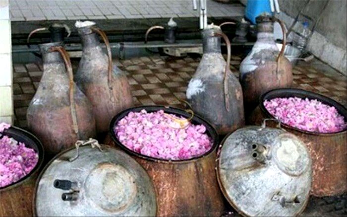 اشتغال 220 هزار نفر در صنعت گلابکیری کاشان