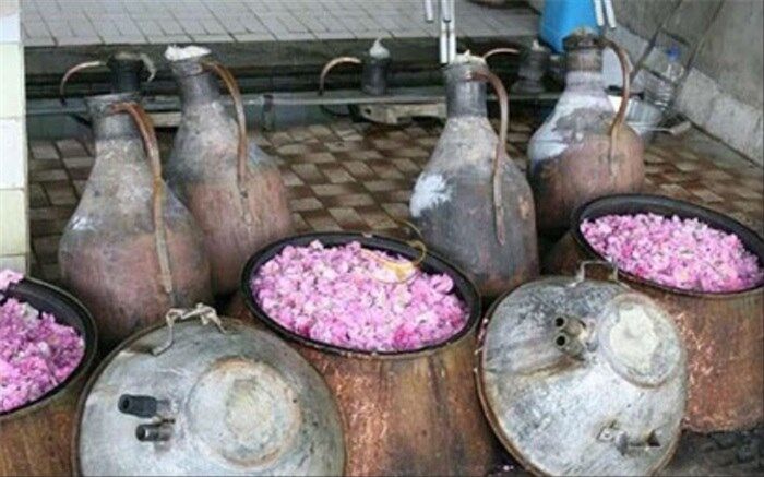اشتغال 220 هزار نفر در صنعت گلابکیری کاشان