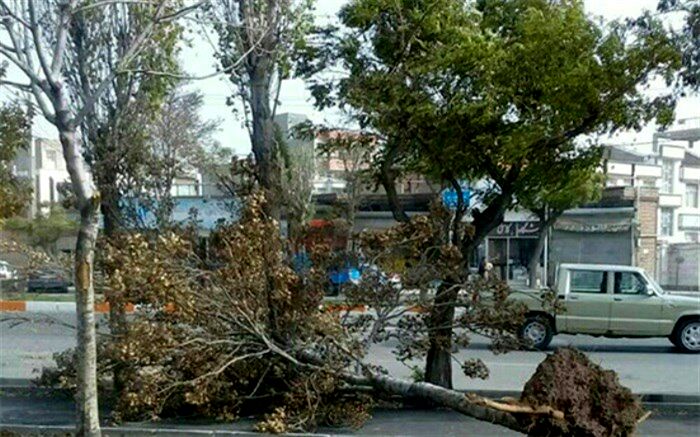 رگبار، رعد و برق و  وزش باد شدید موقت در ۸ استان کشور