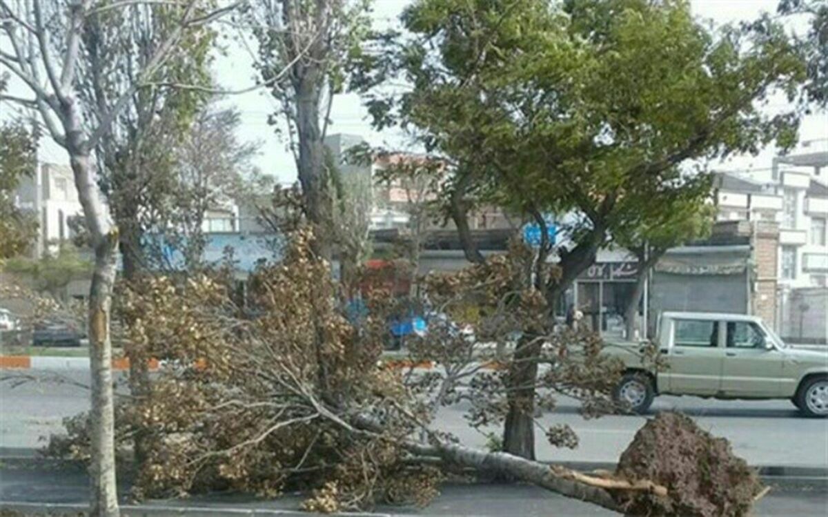 رگبار، رعد و برق و  وزش باد شدید موقت در ۸ استان کشور