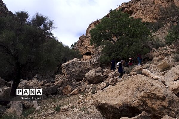 چشمه سرو نخودی رویای زندگی