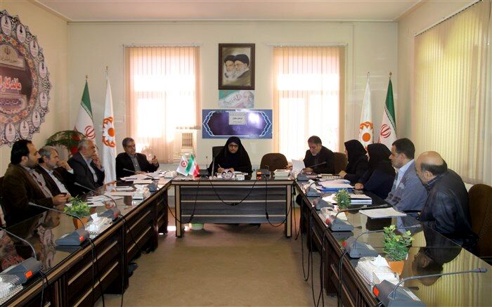 کمیته راهبری تامین مسکن خانوارهای دو عضو معلول استان مرکزی تشکیل شد
