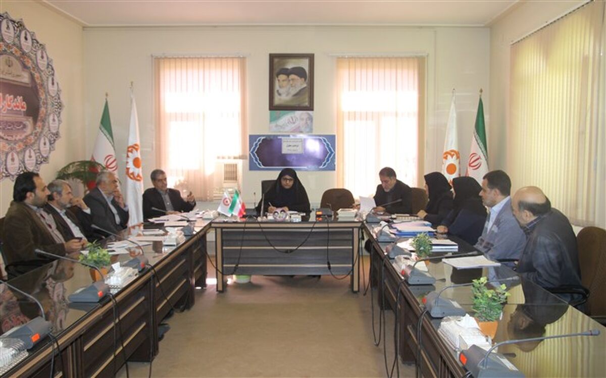 کمیته راهبری تامین مسکن خانوارهای دو عضو معلول استان مرکزی تشکیل شد