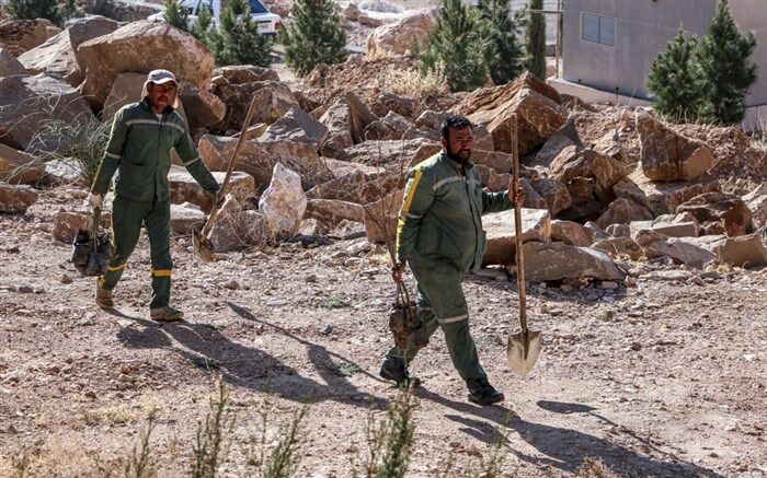 رئیس سازمان سیما، منظر و فضای سبز شهری شهرداری شیراز: سرانه فضای سبز شیراز بالاتر از میانگین کشور و برای هرنفر 23 مترمربع است