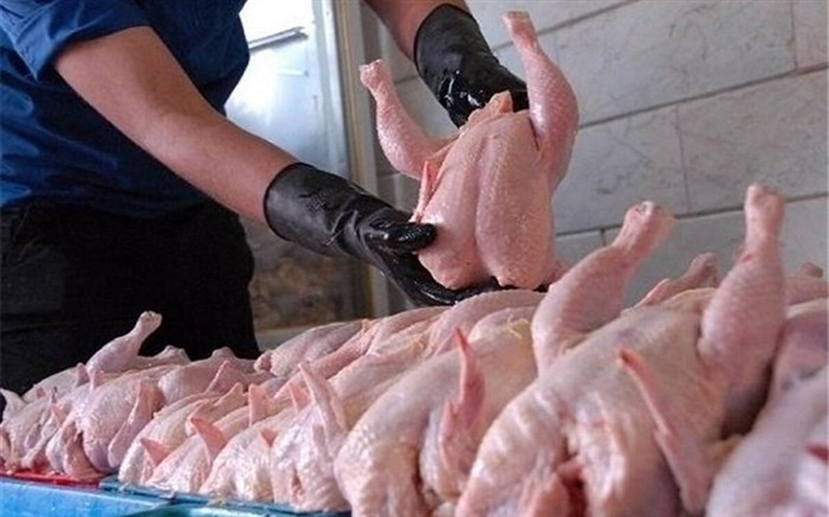 معاون نظارت بر کالاهای مصرفی سازمان حمایت :‌ مردم مرغ را از ۷۸۰۰ تومان گران‌تر نخرند