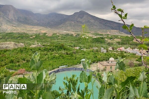 حال و هوای شهر بار نیشابور در فصل زیبای بهار