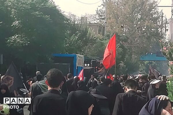 دلدادگان اربعین در تهران