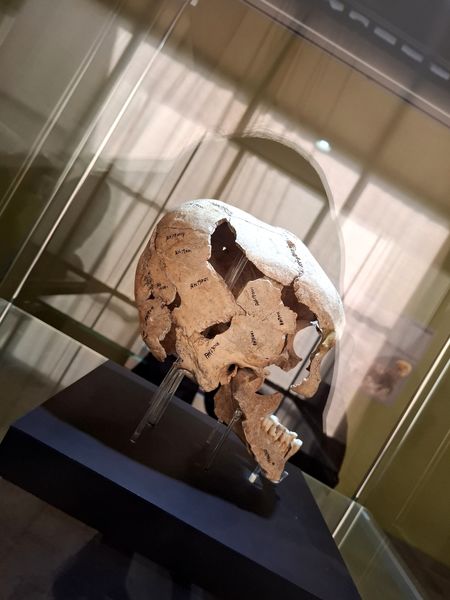 گشتی در تاریخ؛ از مدرسه دارالفنون به سمت دوره ایران باستان