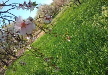 روز طبیعت در قاب پانا