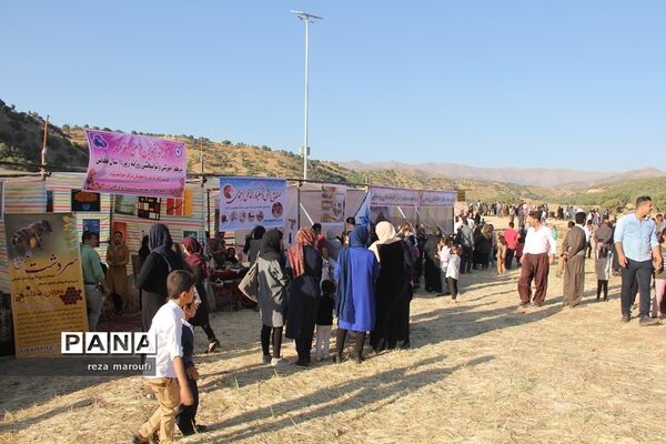 دومین جشنواره ملی انگور سیاه سردشت
