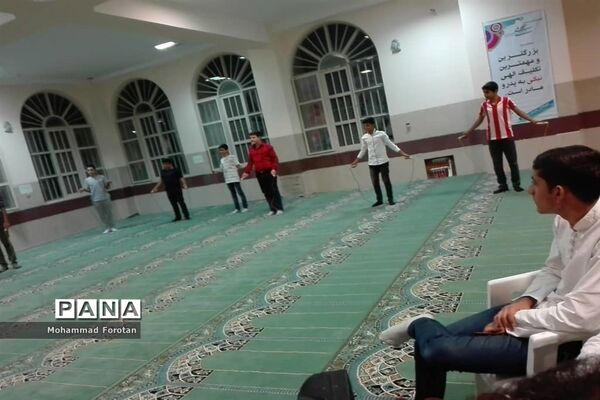 اولین اردوی آموزشی توجیهی همیاران مشاور پسر در استان فارس