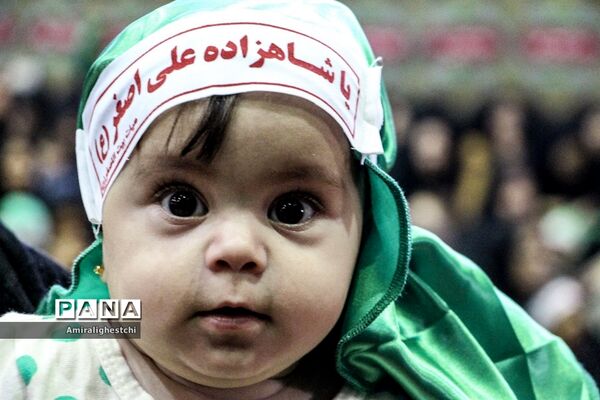 برگزاری مراسم شیرخوارگان حسینی در شهرستان بیرجند