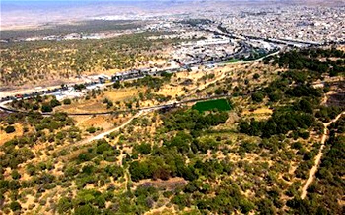 تیشه به ریشه درختان چند۱۰۰ ساله باغستان قزوین بخاطر ساخت یک پل
