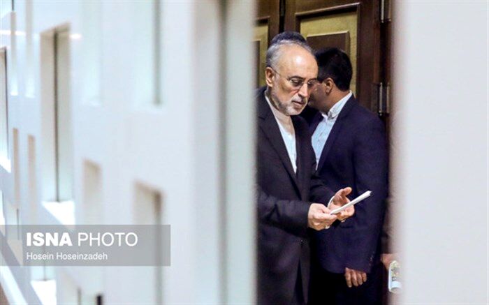 صالحی وارد وین شد