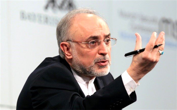 صالحی: سرنوشت برجام یکی از مهمترین نگرانیهای جهانی است