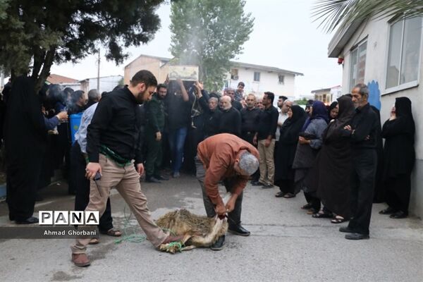 تشییع پیکر شهید گمنام در شهرک فرهنگیان ساری
