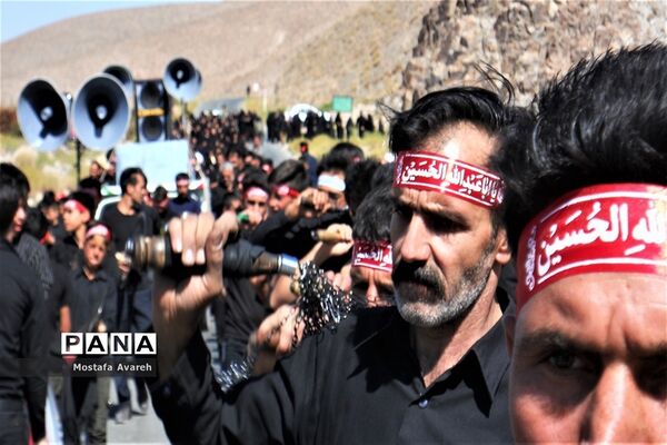 مراسم عزاداری روز تاسوعا حسینی در روستای براندود از توابع شهرستان درمیان
