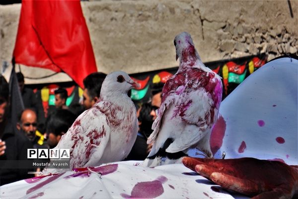 مراسم عزاداری روز عاشورای حسینی در روستای براندود شهرستان درمیان