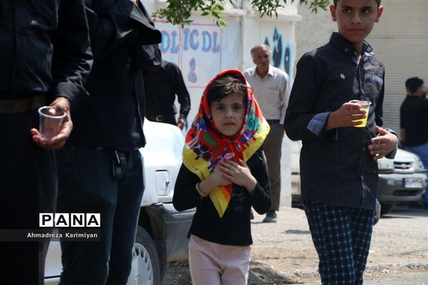 عاشورای حسینی در شهرستان فسا