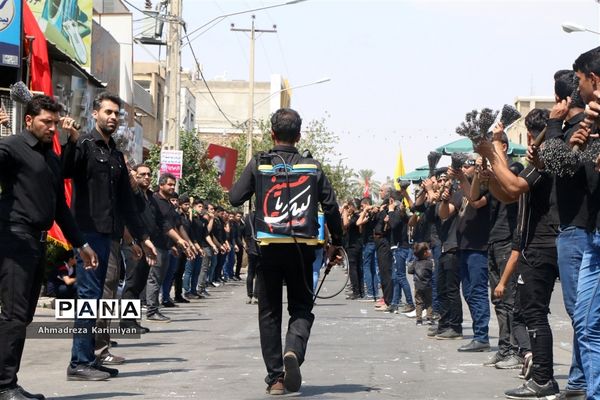 عاشورای حسینی در شهرستان فسا