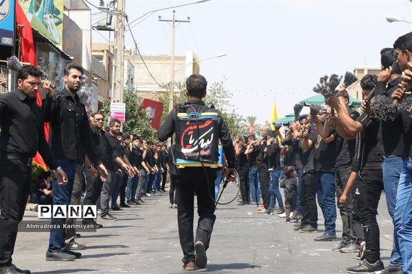عاشورای حسینی در شهرستان فسا
