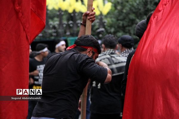 عزاداری روز عاشورا در ساری