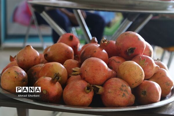 نمایشگاه بین‌المللی صنایع کشاورزی، دام، طیور و شیلات مازندران
