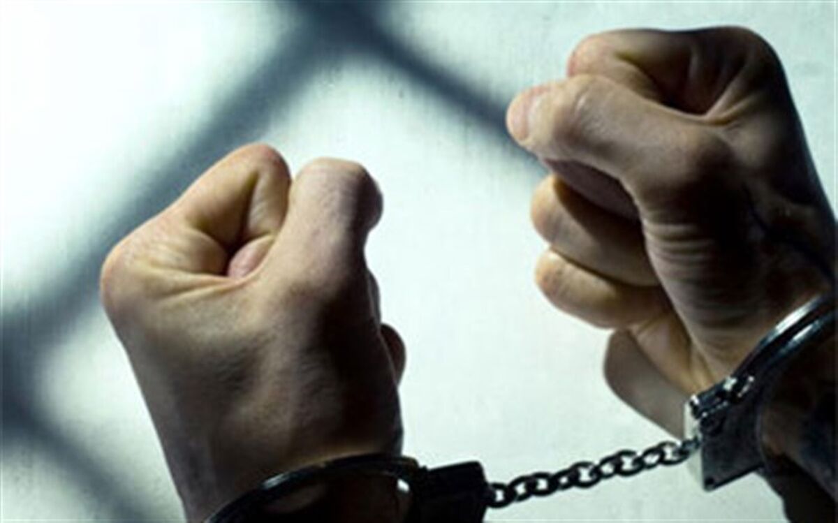 رئیس کل دادگستری فارس اعلام کرد: دستگیری 35 نفر از برهم زنندگان نظم و امنیت در فارس