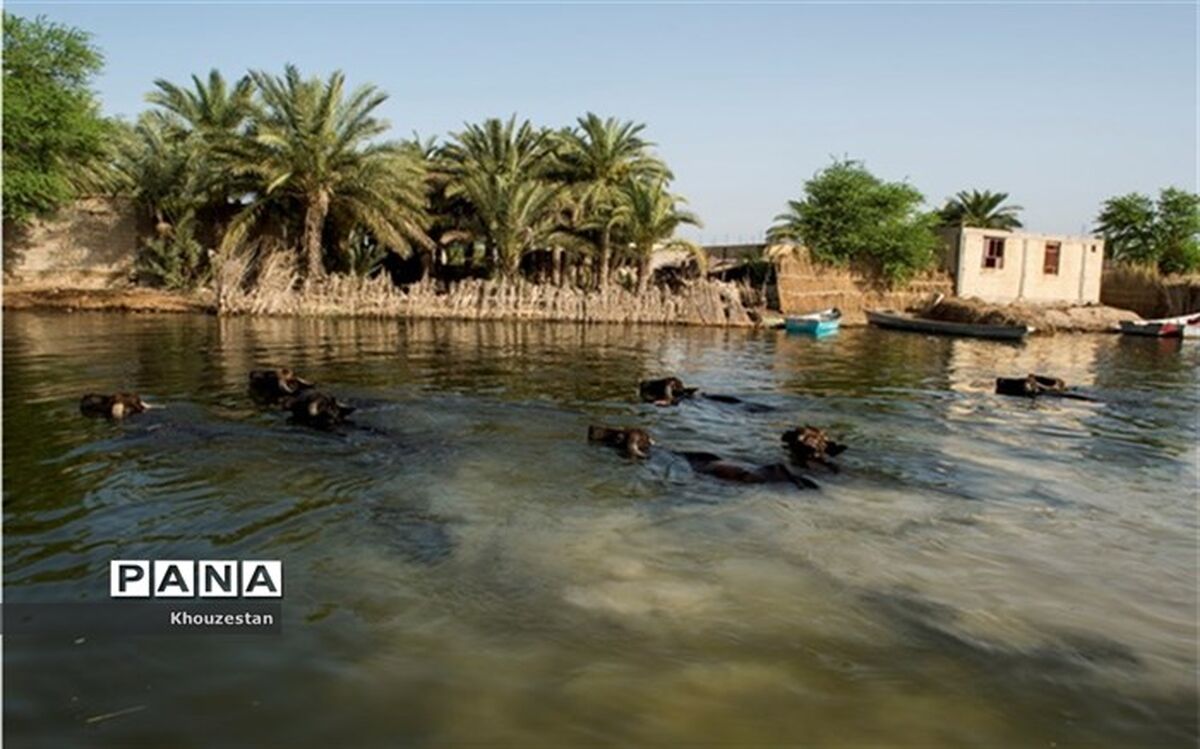 آخرین مراحل پروژه انتقال آب از رودخانه کارون به تالاب بین المللی شادگان