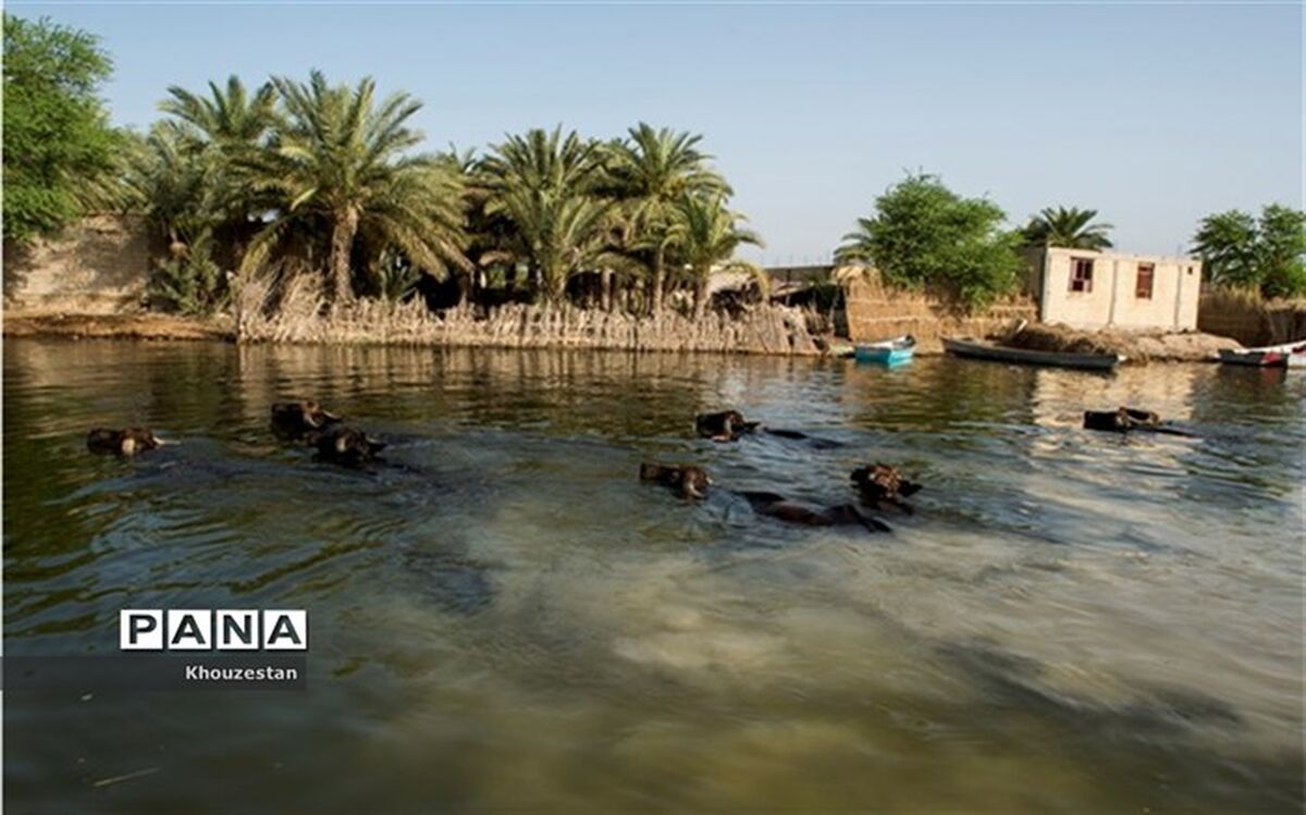 آخرین مراحل پروژه انتقال آب از رودخانه کارون به تالاب بین المللی شادگان