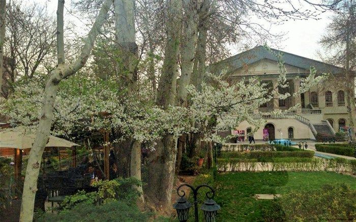 بازدید مدیر موزه بانک ملی از موزه سینما