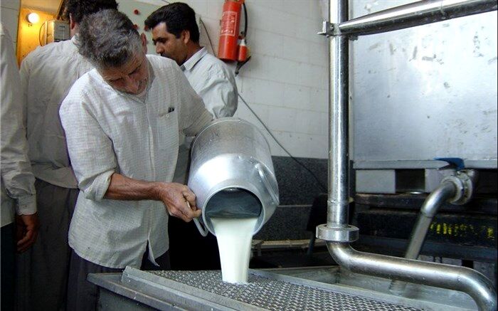 مدیرکل مرکز اصلاح نژاد دام  وزارت جهاد کشاورزی:‌ تولید شیر کاهش نیافته است