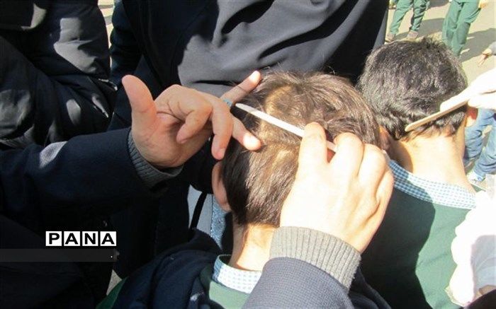 ضرورت همکاری خانواده‌ها برای مبارزه با شیوع شپش