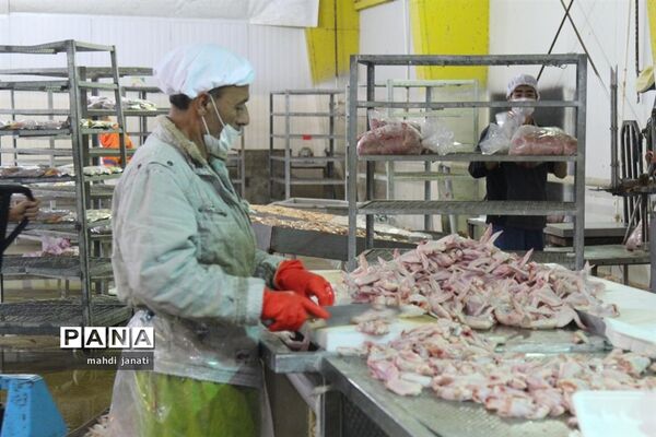 بازدید خبرنگاران از کشتارگاه صنعتی مرغ بهاران