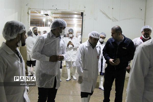 بازدید خبرنگاران از کشتارگاه صنعتی مرغ بهاران