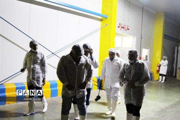 بازدید خبرنگاران از کشتارگاه صنعتی مرغ بهاران