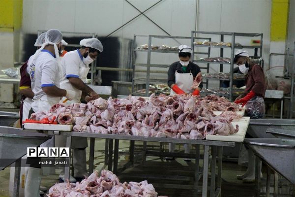 بازدید خبرنگاران از کشتارگاه صنعتی مرغ بهاران