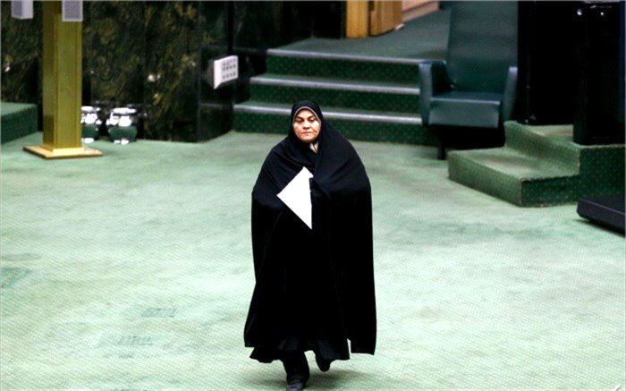 سعیدی، نماینده تهران: پیروزی ما آن چیزی نیست که کسی در آن شکست بخورد