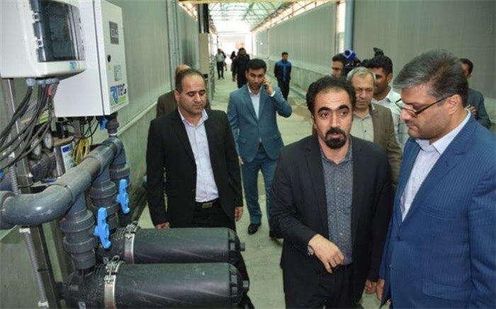 بازدید فرماندار پاکدشت از مجتمع تولیدی گلفام
