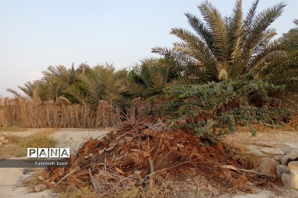 طبیعت پاییزی لامِرد فارس