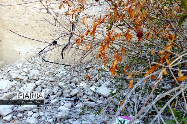 طبیعت پاییزی لامِرد فارس