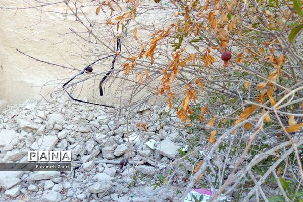 طبیعت پاییزی لامِرد فارس