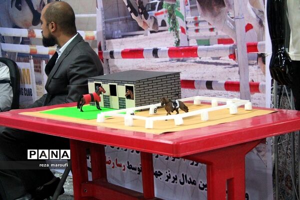 نمایشگاه توانمندی‌های هیات‌های ورزشی  آذربایجان غربی