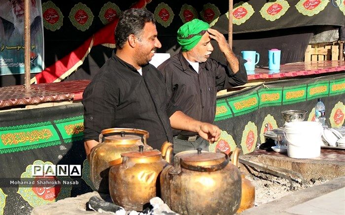 بیش از ۸۹۰۰ بازدید بهداشت محیطی در مسیر راهپیمایی اربعین