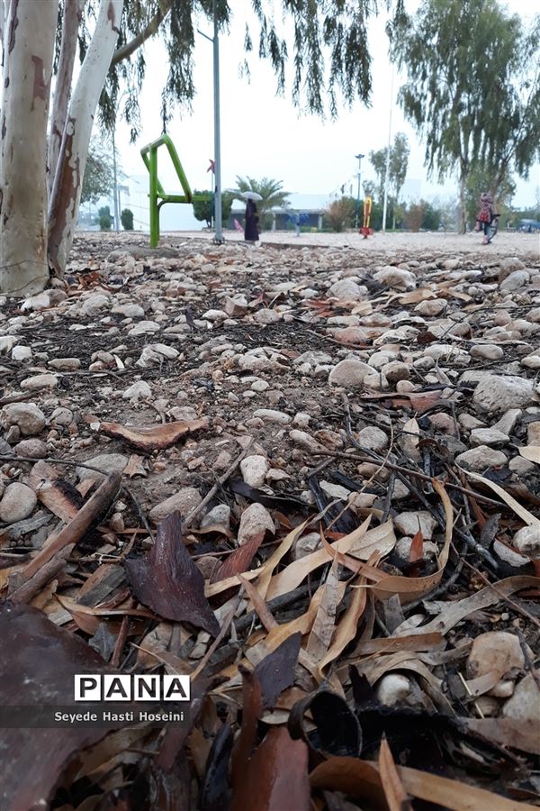 طراوت باران پاییزی در گله دار