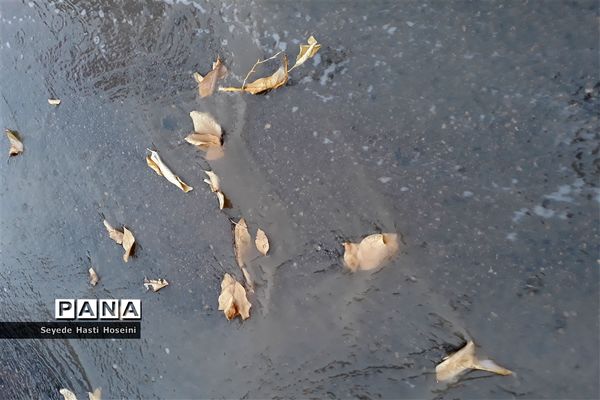 طراوت باران پاییزی در گله دار