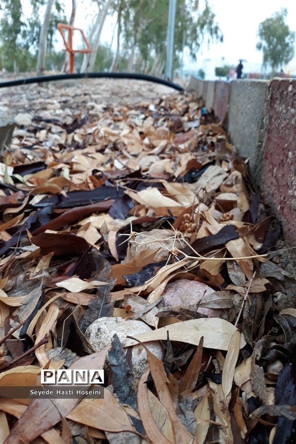 طراوت باران پاییزی در گله دار