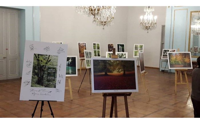 نمایشگاه عکس «هیرکانی سبز ازلی» افتتاح شد