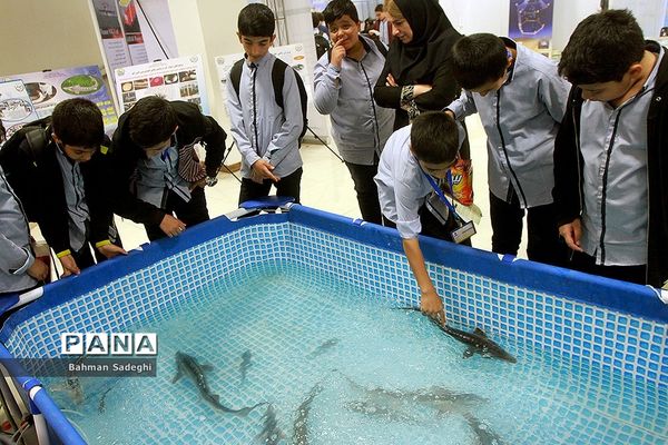 چهارمین جشنواره ملی دریا در مسیر پیشرفت